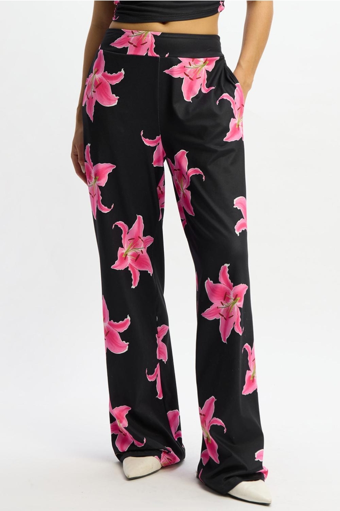NOVA R2506115796 955 FLOWER